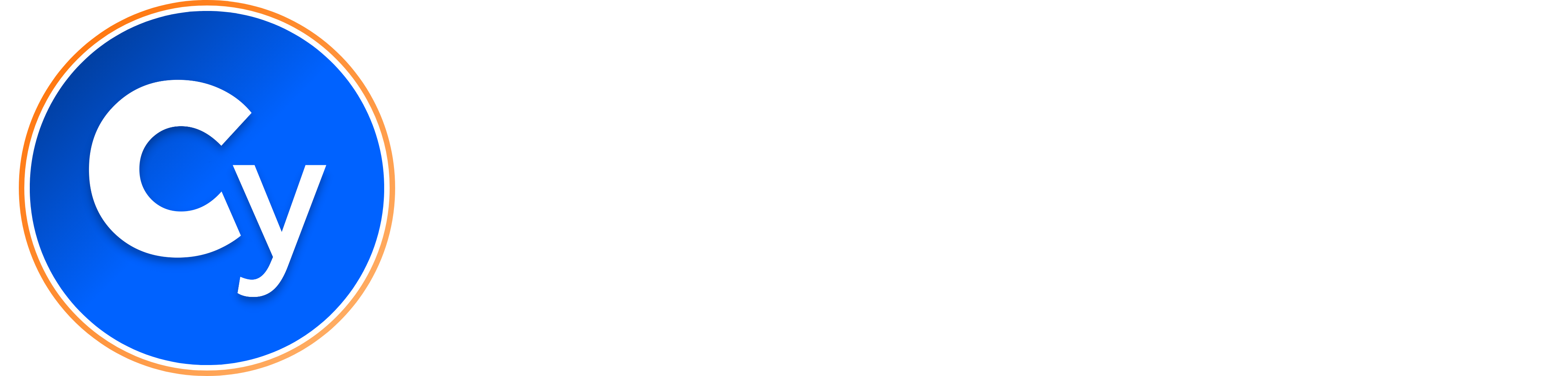 Coinstancy logo